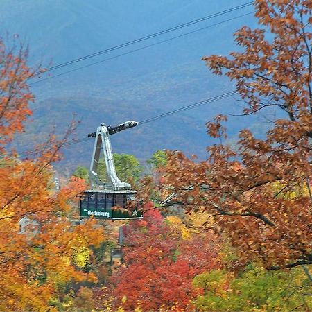 Cajun Hideaway Holiday Home Gatlinburg Luaran gambar