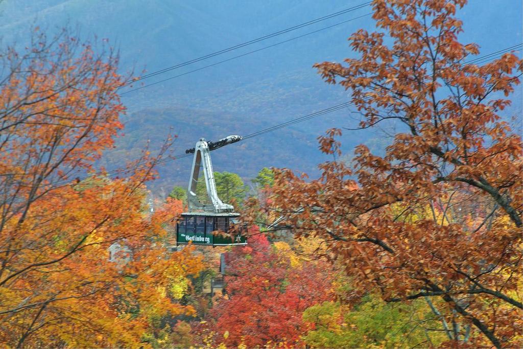 Cajun Hideaway Holiday Home Gatlinburg Luaran gambar